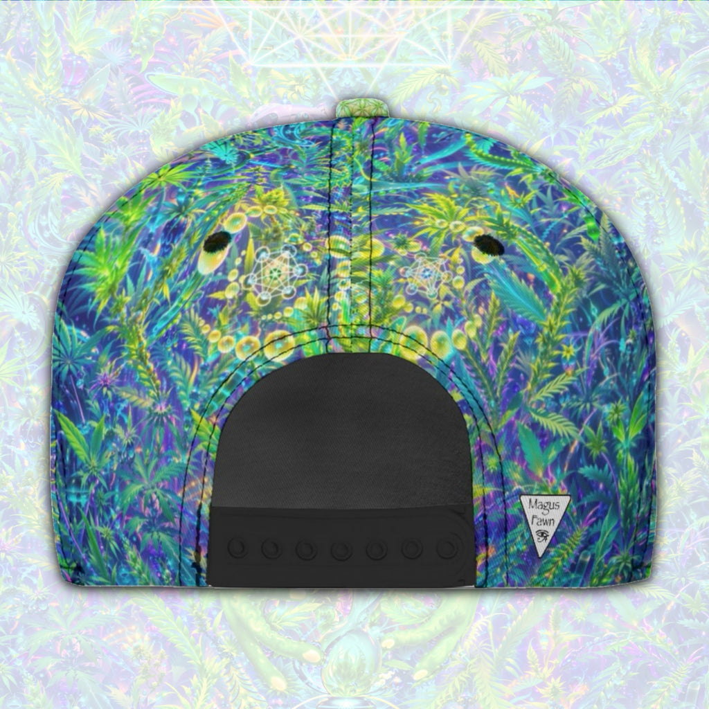 Snapback Hat | Alien Wizard Stoner