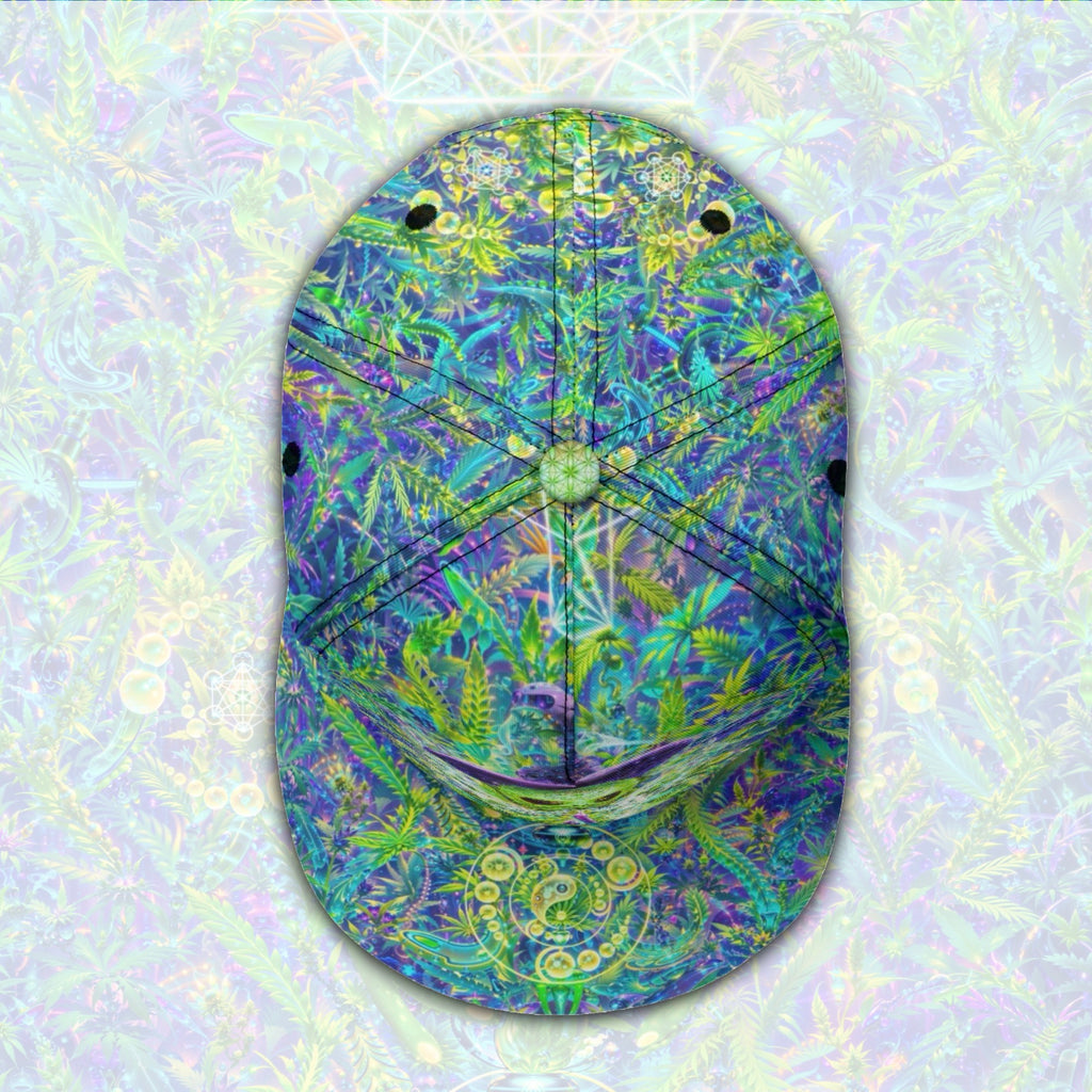 Snapback Hat | Alien Wizard Stoner